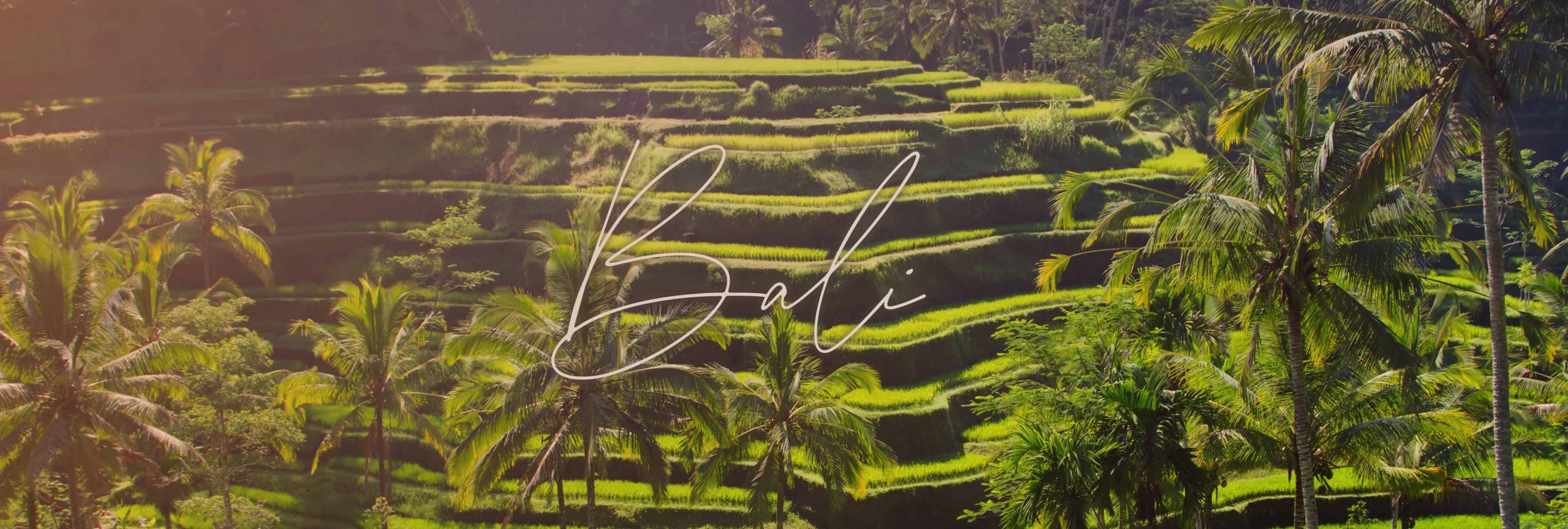 trips to bali from south africa