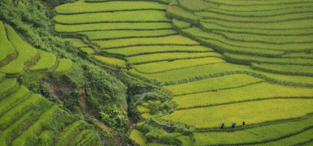 Northern Vietnam Explorer
