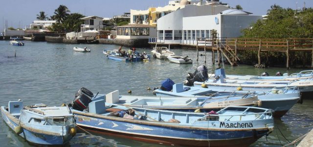 Galapagos Land & Sea