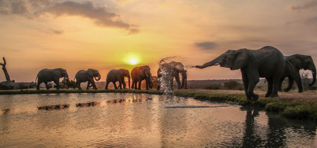 Jabulani Safari Relais & Chateaux